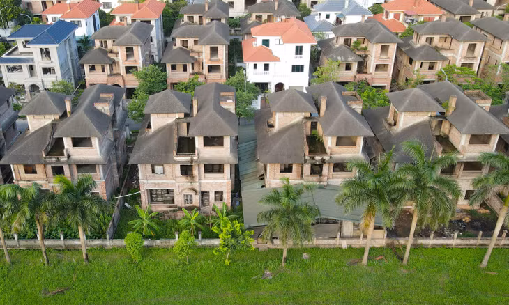 Được biết, khu biệt thự Hoa Phượng do 3 công ty bao gồm Công ty TNHH Ứng dụng và Phát triển Công nghệ AVN, Công ty Kinh doanh Vật tư Thiết bị và Công ty CP Lý Hùng làm chủ đầu tư. Mỗi công ty đầu tư một lô trong 3 lô đất của dự án.