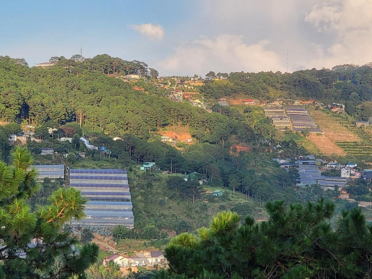 Lần rà soát điều chỉnh này, Lâm Đồng được đưa ra khỏi quy hoạch 3 loại rừng hơn 58.916 ha