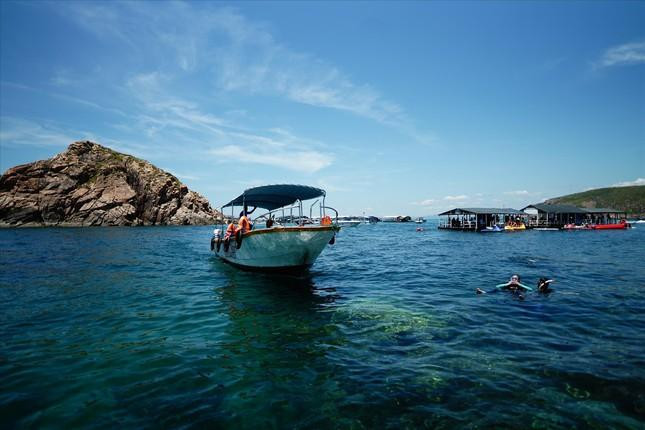 Du khách lặn biển ở Hòn Khô (TP. Quy Nhơn)