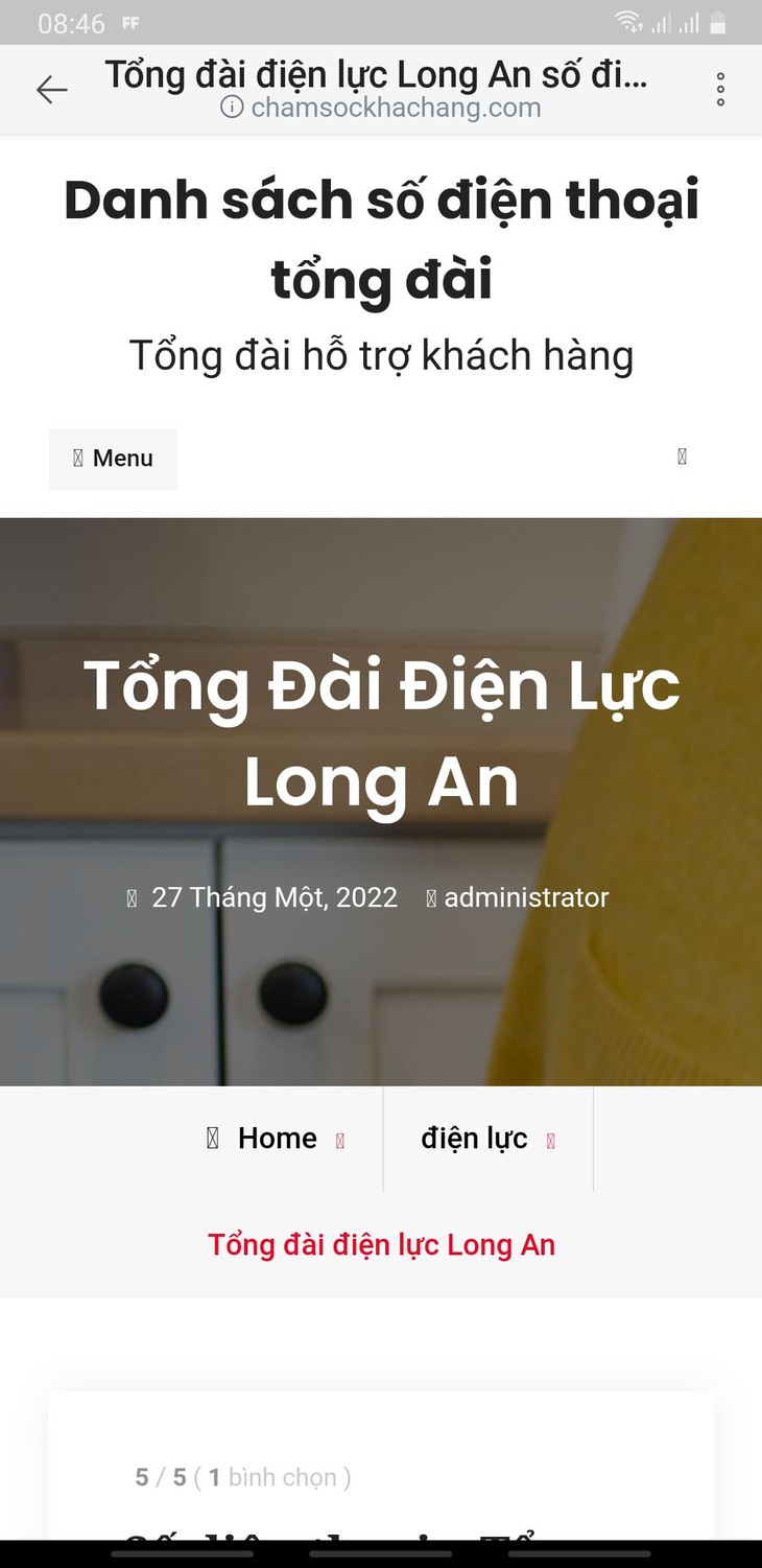 Giao diện trang web chăm sóc khách hàng giả mạo Tổng đài Điện lực Long An