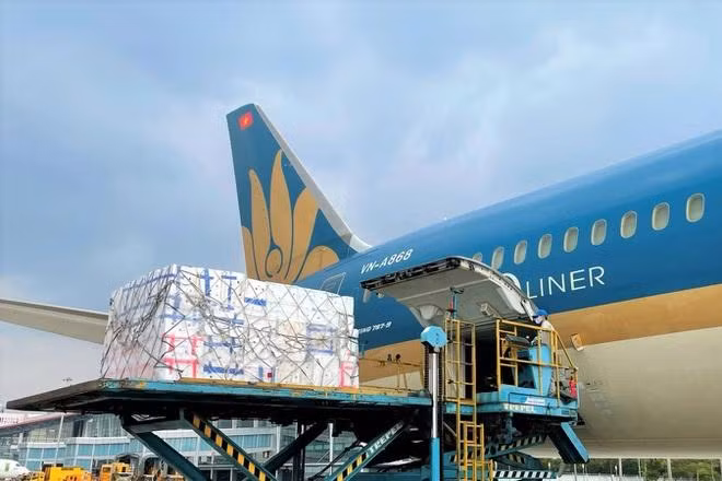 Miễn thuế hàng hóa nhập khẩu tài trợ phòng chống dịch Covid-19