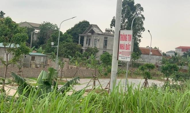 Giá đất Đông Anh hiện đi ngang