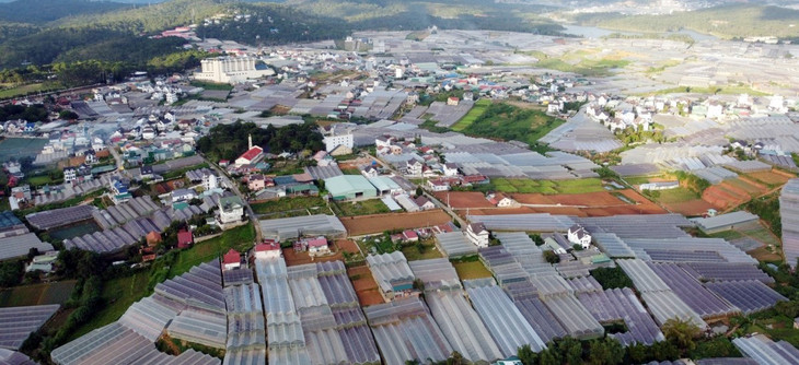 Nhà kính sản xuất nông nghiệp đang vây kín đô thị Đà Lạt