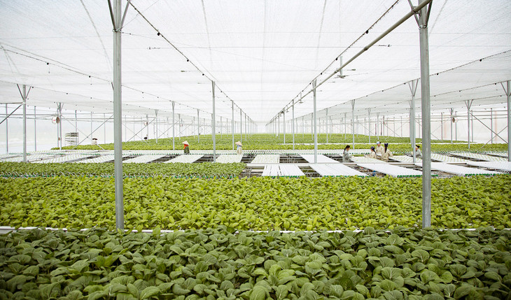 Dự thảo Kế hoạch đặt mục tiêu tốc độ tăng trưởng GDP bình quân 5 năm khoảng 6,5 - 7% Dự thảo Kế hoạch đặt mục tiêu tốc độ tăng trưởng GDP bình quân 5 năm khoảng 6,5 - 7%