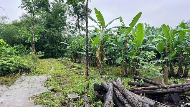 Lô đất "làng" nằm ở tuyến đường nhỏ xuống cấp, xa trung tâm TP Huế hàng chục km, được ghi giá đấu khởi điểm 45 triệu đồng/m2 gây choáng