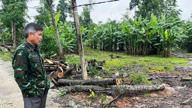 Người có nhà đối diện lô đất A1 chuẩn bị được đấu giá hết sức bất ngờ với mức giá công bố 45 triệu đồng/m2