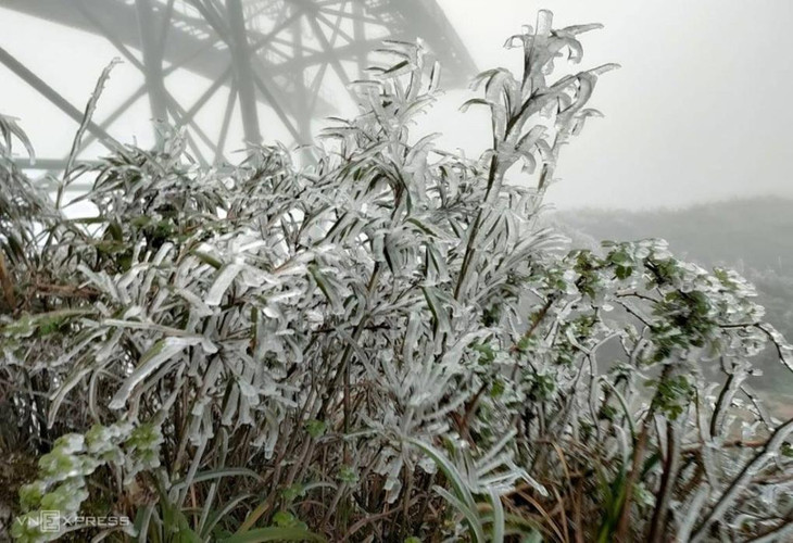 Sáng 2/4, cây cỏ ở đỉnh Fansipan được bao phủ bởi băng giá Sáng 2/4, cây cỏ ở đỉnh Fansipan được bao phủ bởi băng giá