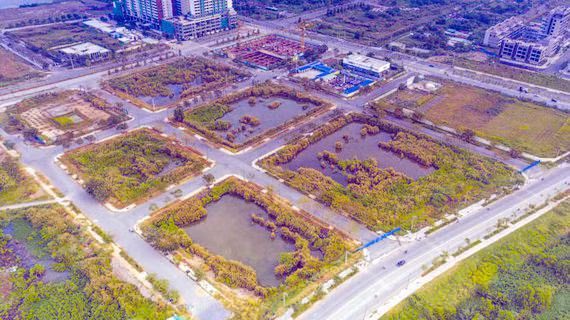 Thủ tướng Chính phủ đề nghị rà soát, tăng cường kiểm tra, thanh tra hoạt động tổ chức đấu giá quyền sử dụng đất, bất động sản ở các địa phương. Ảnh: Bình Minh