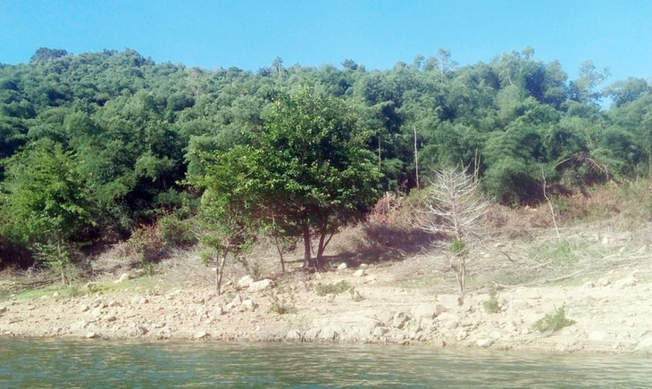 Khu vực rừng phòng hộ huyện Vĩnh Thạnh, tỉnh Bình Định Khu vực rừng phòng hộ huyện Vĩnh Thạnh, tỉnh Bình Định