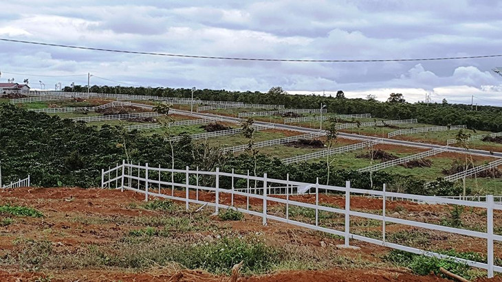 Một khu vực tách thửa ở TP.Bảo Lộc