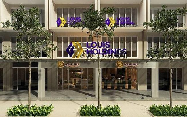 Louis Capital bị phạt hơn 200 triệu đồng. Ảnh minh họa