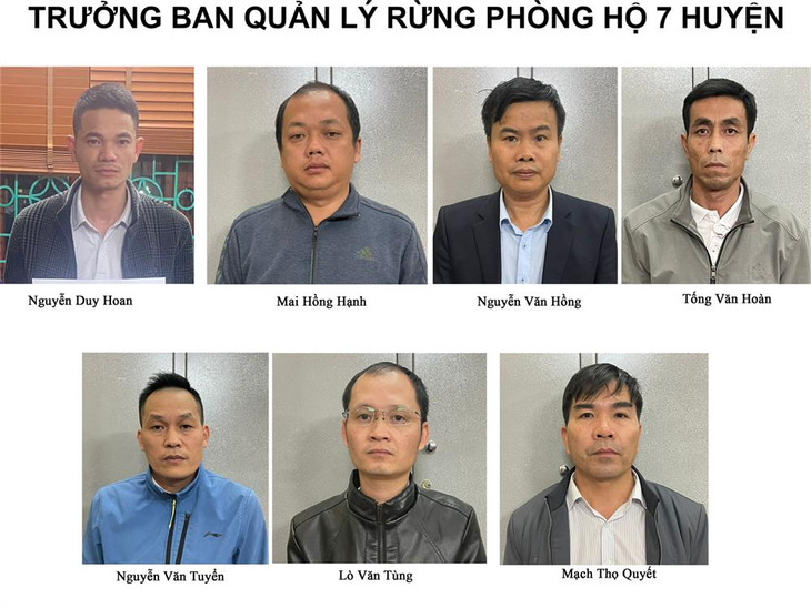 Trưởng Ban Quản lý rừng phòng hộ 7 huyện của Lai Châu bị tạm giữ hình sự.