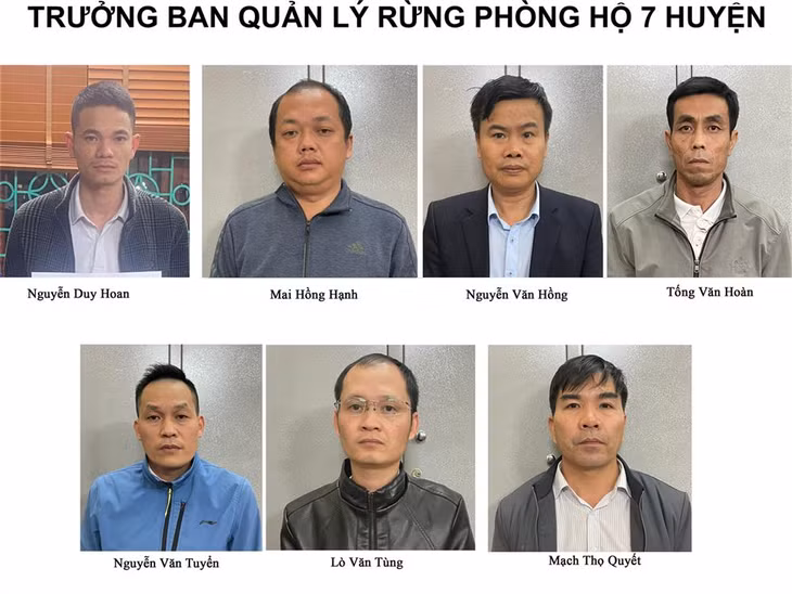 Trưởng Ban Quản lý rừng phòng hộ 7 huyện của Lai Châu bị tạm giữ hình sự.