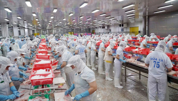 Nhà máy chế biến cá tra tại Đồng Tháp Nhà máy chế biến cá tra tại Đồng Tháp