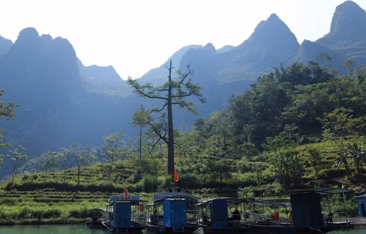 Bến tàu du lịch sông Nho Quế