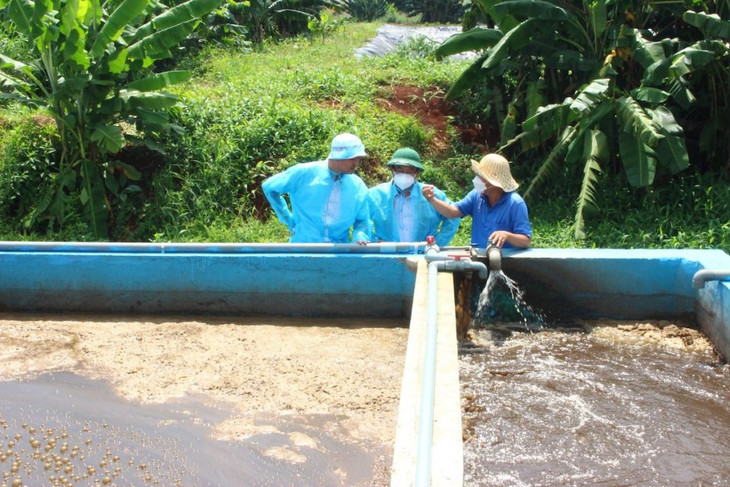 Lực lượng chức năng kiểm tra hệ thống xử lý môi trường một trại chăn nuôi gia công ở huyện Thống Nhất Lực lượng chức năng kiểm tra hệ thống xử lý môi trường một trại chăn nuôi gia công ở huyện Thống Nhất