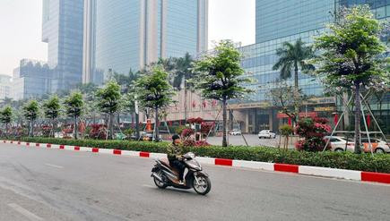 Các bị can và người liên quan đã có hành vi thông đồng nâng khống giá trị cây