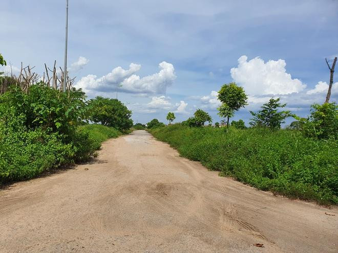 Nhiều dự án "ôm đất" rồi để cỏ mọc um tùm suốt nhiều năm. Ảnh minh họa