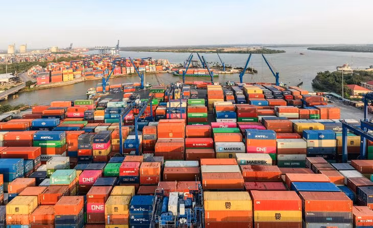 Cảng Cát Lái tạm dừng nhận nhiều loại hàng tư ngày 5/8