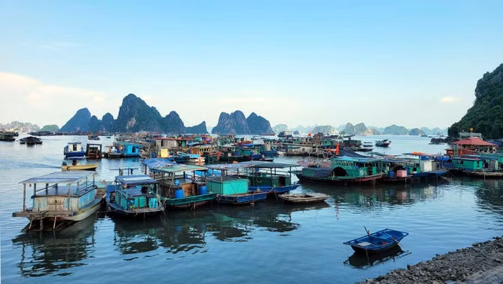 Tàu thuyền đỗ xung quanh cảng mới mà chưa thể cập vào bến