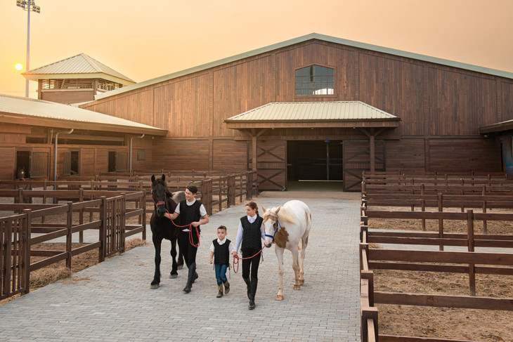 Vinpearl Horse Academy Vũ Yên có những chương trình đào tạo bài bản giúp học viên, cư dân Vinhomes Royal Island rèn luyện thể lực, trí lực thông qua bộ môn thể thao cưỡi ngựa. Vinpearl Horse Academy Vũ Yên có những chương trình đào tạo bài bản giúp học viên, cư dân Vinhomes Royal Island rèn luyện thể lực, trí lực thông qua bộ môn thể thao cưỡi ngựa.