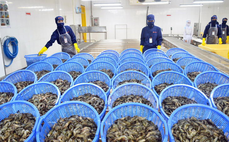 Xuất khẩu tôm năm nay ước đạt 3,6 tỷ USD