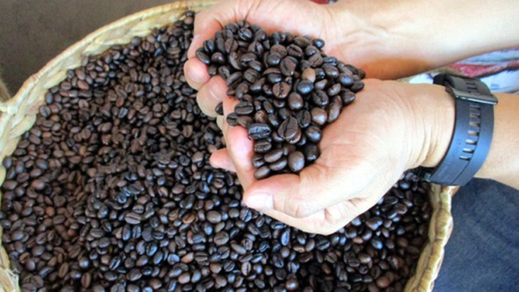 Xuất khẩu cà phê có thể đạt 5 tỷ USD năm 2024. Ảnh minh họa Xuất khẩu cà phê có thể đạt 5 tỷ USD năm 2024. Ảnh minh họa