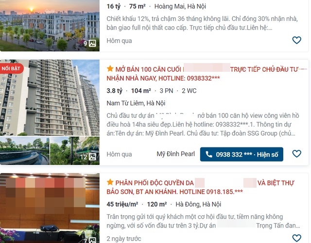 Các căn hộ diện tích lớn kén người mua. Ảnh chụp màn hình