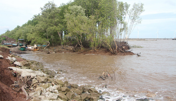 Sạt lở nghiêm trọng tại khu vực đoạn đê biển Đông qua địa bàn ấp Biển Đông A, xã Vĩnh Trạch Đông, thành phố Bạc Liêu