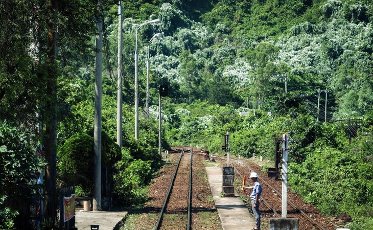 Một đoạn đường sắt Bắc - Nam. Ảnh minh họa