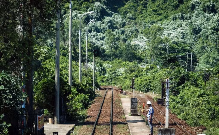 Một đoạn đường sắt Bắc - Nam. Ảnh minh họa