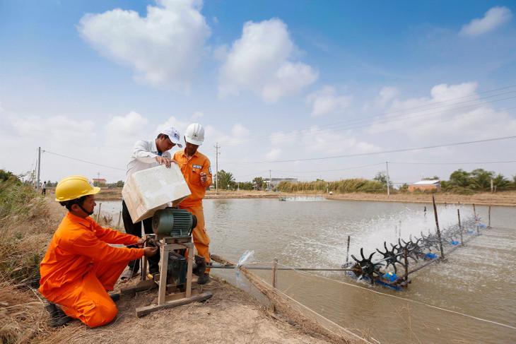 Hướng dẫn, tuyên truyền an toàn điện cho khách hàng khu vực nông thôn.