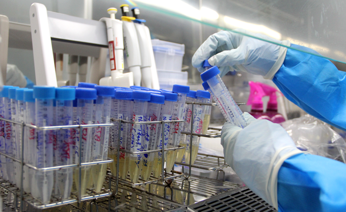 Trong đó, nổi lên sai phạm trong công tác mua sắm trang thiết bị, vật tư y tế, sinh phẩm, kit xét nghiệm, vaccine