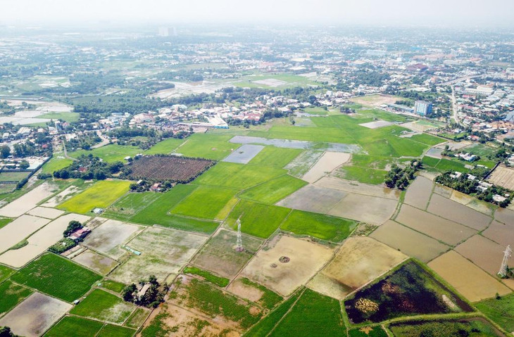 Công ty Cây trồng thành phố có diện tích thanh tra lớn nhất với 2,7 triệu m2 tại huyện Bình Chánh