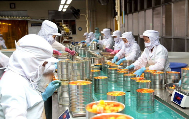 Nhà máy chế biến trái cây đóng hộp ở Cần Thơ Nhà máy chế biến trái cây đóng hộp ở Cần Thơ