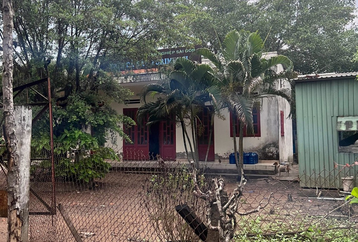 Khu đất đang do Công ty Cổ phần Lâm nghiệp Sài Gòn tạm quản lý