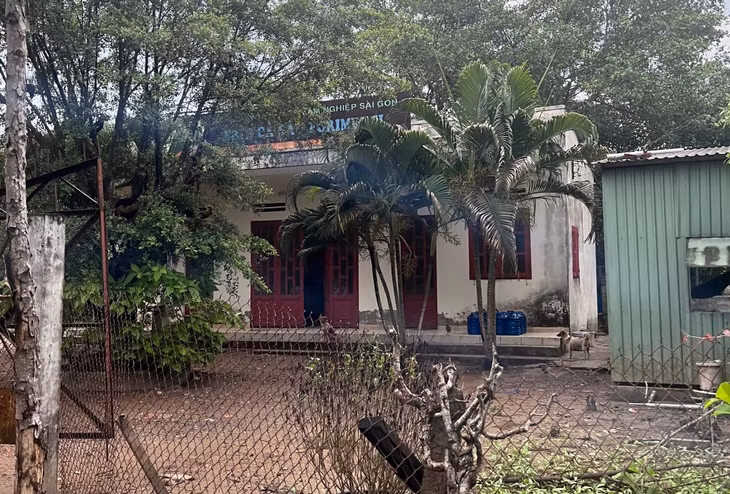 Khu đất đang do Công ty Cổ phần Lâm nghiệp Sài Gòn tạm quản lý