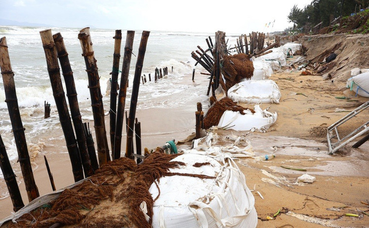 Bờ biển Cẩm An, TP. Hội An bị sạt lở nghiêm trọng