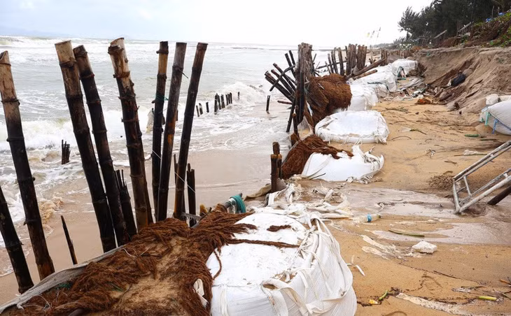 Bờ biển Cẩm An, TP. Hội An bị sạt lở nghiêm trọng