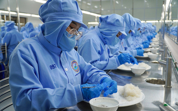 Công nhân sơ chế yến sào tại một nhà máy ở Khánh Hòa