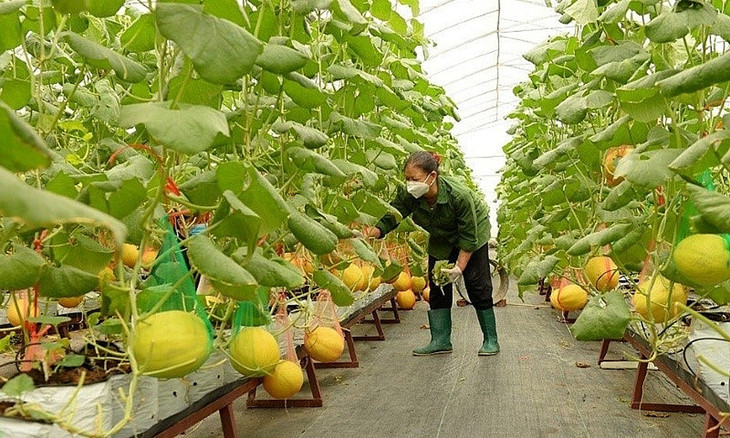 Về tính chất, đây sẽ được định hướng trở thành trung tâm dịch vụ nông nghiệp công nghệ cao và thực nghiệm nông nghiệp công nghệ cao Về tính chất, đây sẽ được định hướng trở thành trung tâm dịch vụ nông nghiệp công nghệ cao và thực nghiệm nông nghiệp công nghệ cao