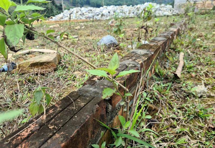 Theo chia sẻ của người dân các khu vực đất phân lô này, hiện tại, các lô đất đều có chủ là những nhà đầu tư từ nơi khác đến. Sau thời gian đươc mua bán nhộn nhịp, các khu đất lại bị bỏ không, cỏ mọc um tùm