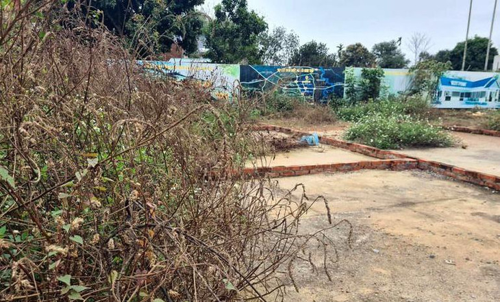Cảnh tượng cỏ mọc hoang tại khu đất 23 lô thôn Sen Trì