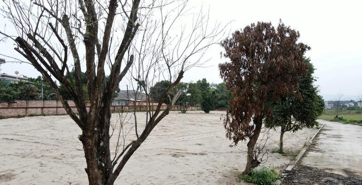 Theo khảo sát của Dân trí, hiện tại, giá các lô đất trong khu đất phân lô ở cửa Đông thường cao hơn 7- 10 triệu đồng/m2 so với đất thổ cư của người dân khu vực