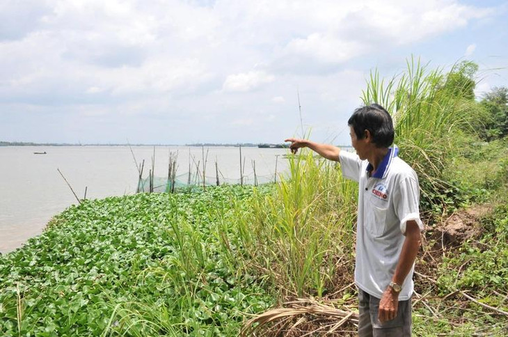 Doanh nghiệp trúng quyền khai thác mỏ cát trên sông Tiền (xã Bình Phước Xuân, huyện Chợ Mới, tỉnh An Giang) đã bỏ tiền cọc