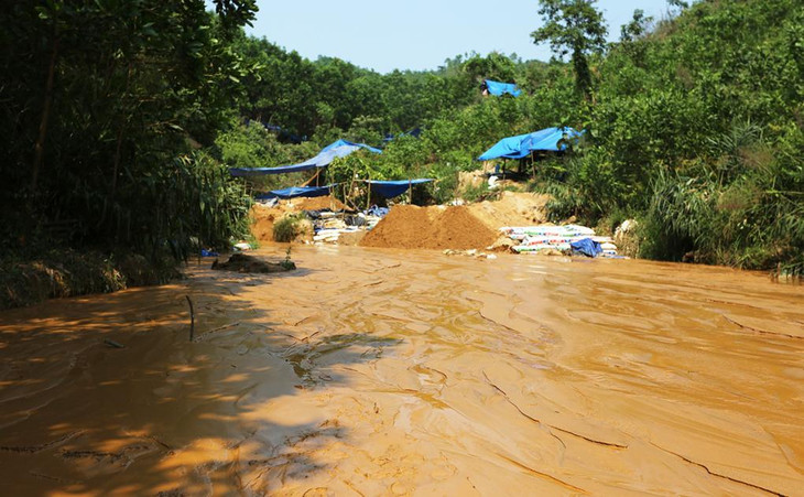 Nhiều người dân dựng lán trại khai thác vàng trái phép ở Bồng Miêu