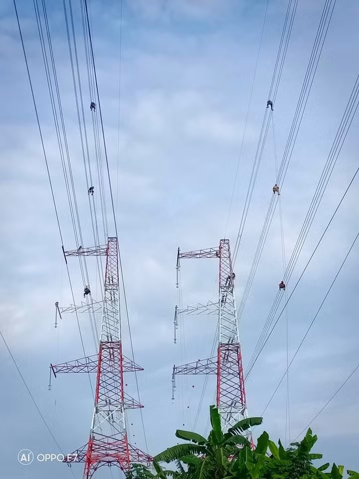 Thi công đường dây