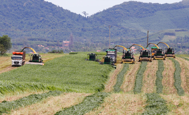 Và được thu hoạch bằng quy trình và máy móc công nghệ cao hàng đầu thế giới.
