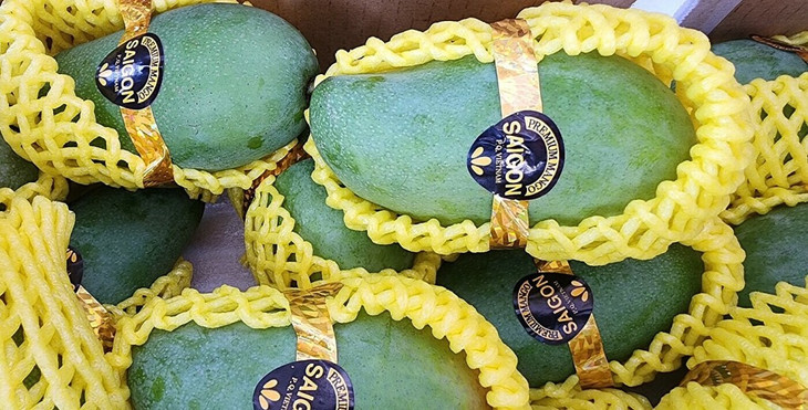 Xoài hạt lép, trái nhỏ, vị đậm đà hơn loại trái to, có hạt