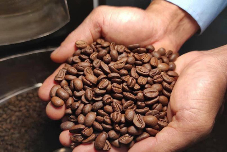 Việt Nam hướng tới xây dựng chuỗi ngành hàng cà phê Việt chất lượng cao gắn với tăng trưởng xanh và phát triển bền vững